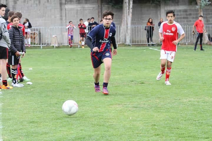 Ir a la Siguiente Foto