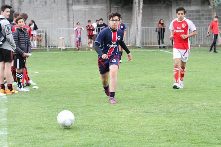 Ir a la Siguiente Foto