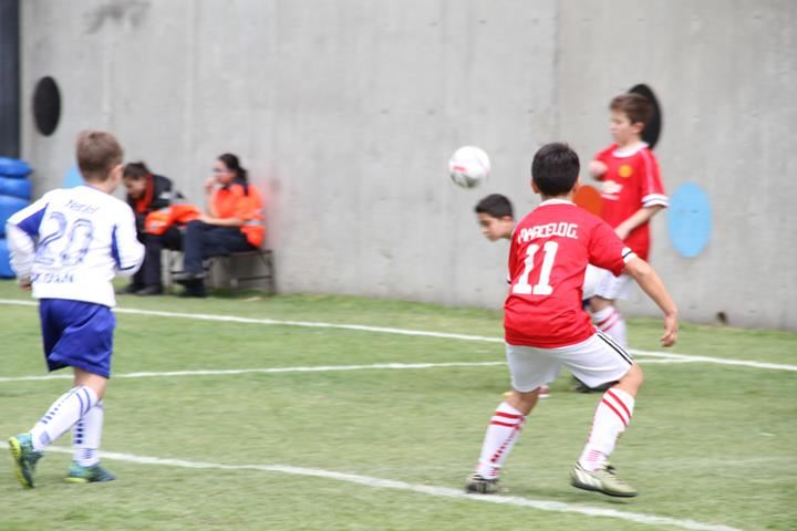 Ir a la Siguiente Foto