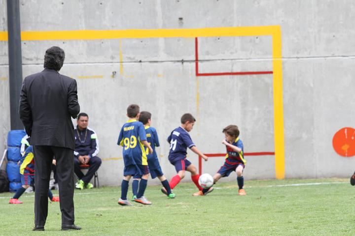 Ir a la Siguiente Foto