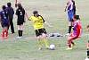 mundialito2016juegos447.jpg