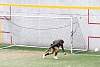 mundialito2016juegos499.jpg