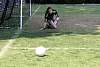 mundialito2016juegos6290.jpg
