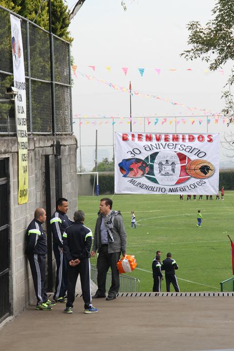 Ir a la Siguiente Foto