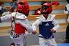 mundialito2016taekwondo168.jpg