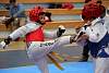 mundialito2016taekwondo171.jpg