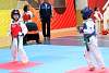 mundialito2016taekwondo211.jpg