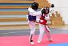 mundialito2016taekwondo217.jpg