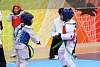 mundialito2016taekwondo225.jpg