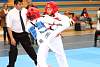 mundialito2016taekwondo248.jpg