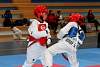 mundialito2016taekwondo265.jpg