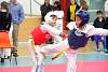 mundialito2016taekwondo465.jpg