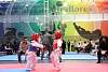 mundialito2016taekwondo562.jpg