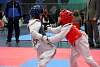 mundialito2016taekwondo575.jpg