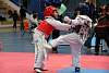 mundialito2016taekwondo580.jpg