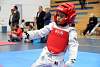 mundialito2016taekwondo605.jpg