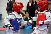 mundialito2016taekwondo606.jpg