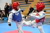 mundialito2016taekwondo610.jpg