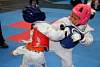 mundialito2016taekwondo627.jpg