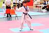 mundialito2016taekwondo65.jpg