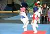 mundialito2016taekwondo699.jpg