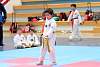 mundialito2016taekwondo71.jpg