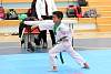 mundialito2016taekwondo95.jpg