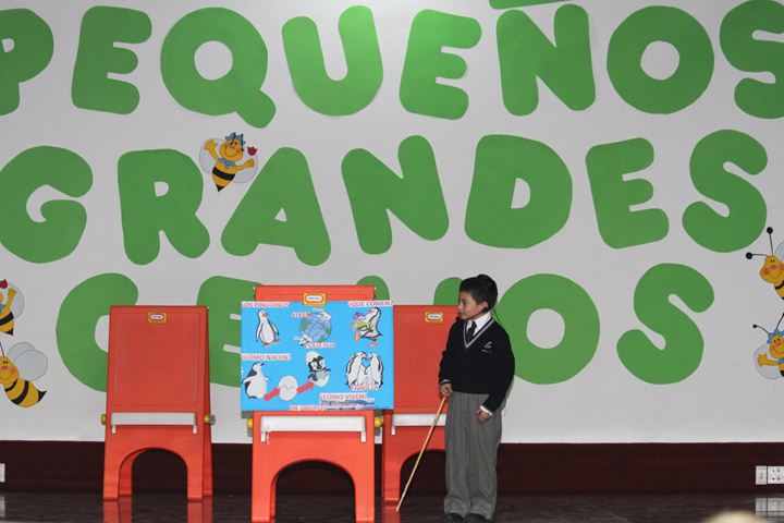Ir a la Siguiente Foto