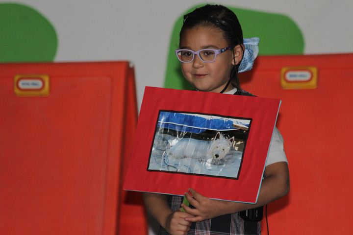 Ir a la Siguiente Foto