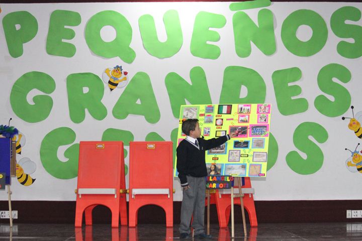 Ir a la Siguiente Foto