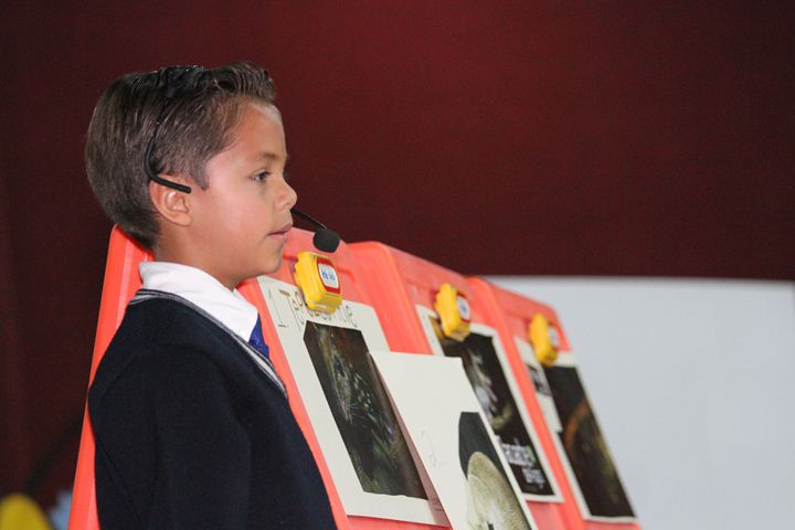 Ir a la Siguiente Foto