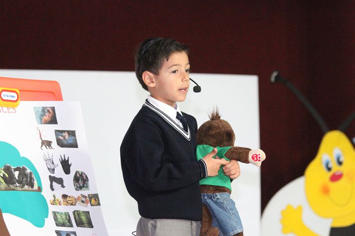 Ir a la Siguiente Foto