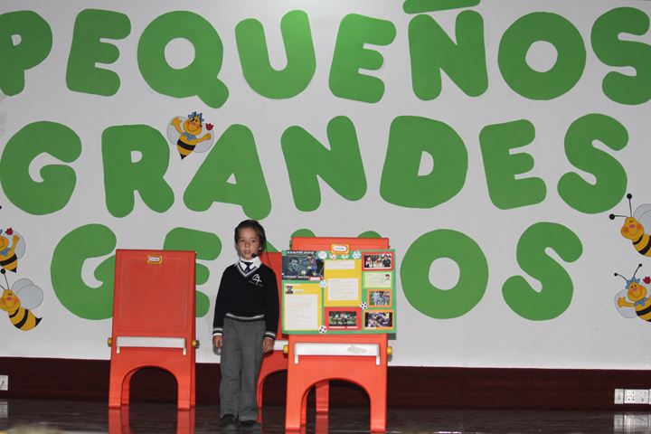 Ir a la Siguiente Foto