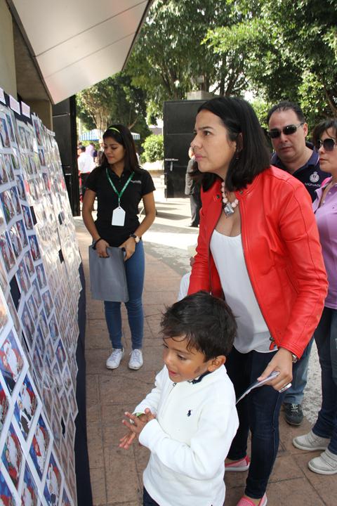 Ir a la Siguiente Foto