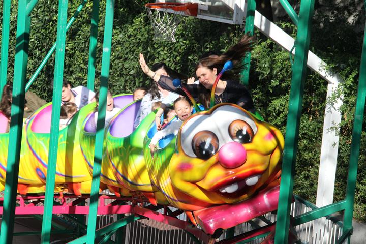 Ir a la Siguiente Foto