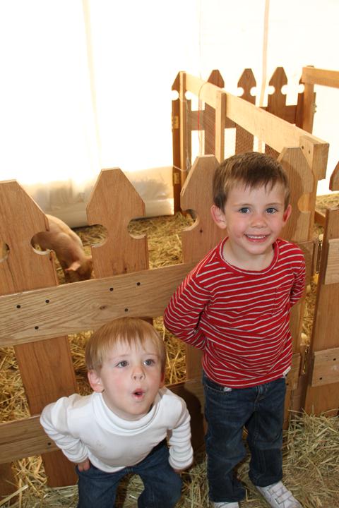 Ir a la Siguiente Foto