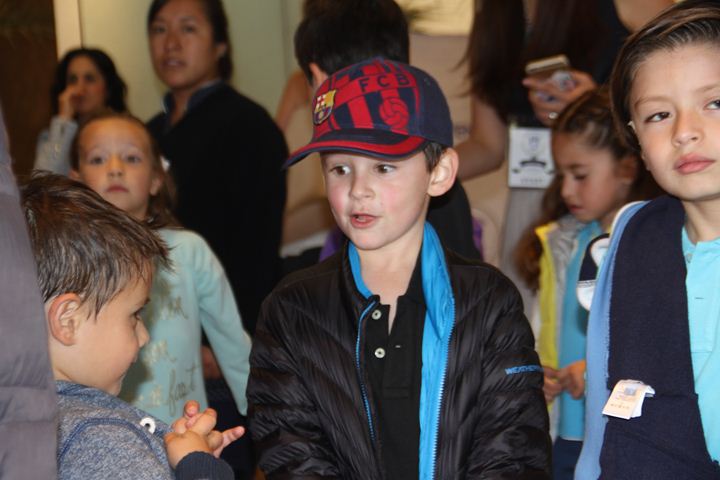 Ir a la Siguiente Foto