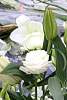 ramillete_espiritual_mayo2016317.jpg