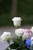 ramillete_espiritual_mayo2016335.jpg