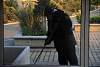 retiro_profes08bril2016303.jpg