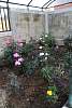 retiro_profes08bril2016343.jpg