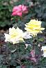retiro_profes08bril2016351.jpg