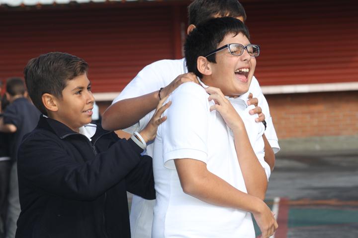 Ir a la Siguiente Foto
