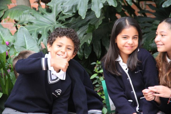Ir a la Siguiente Foto