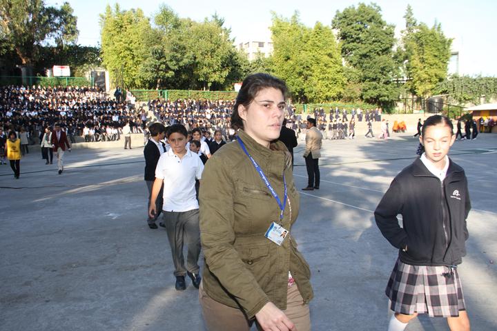 Ir a la Siguiente Foto