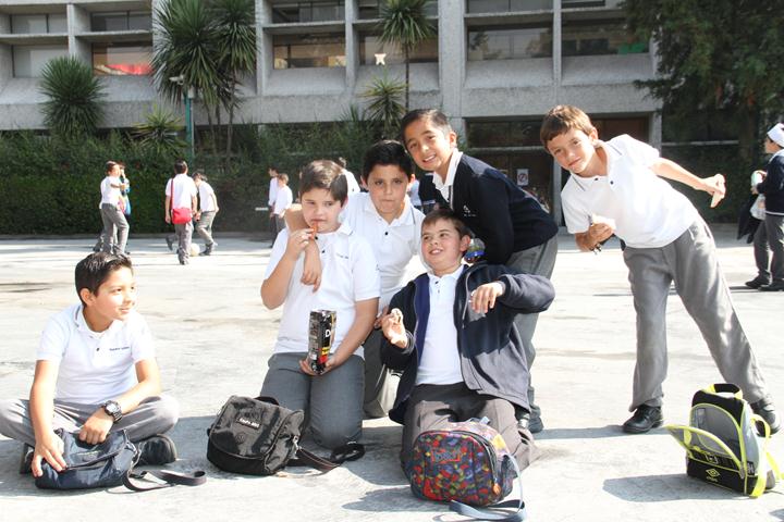 Ir a la Siguiente Foto