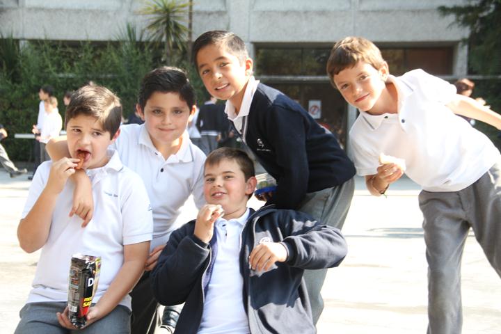 Ir a la Siguiente Foto