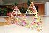 triangulo_troyo2015033.jpg