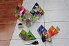 triangulo_troyo2015045.jpg