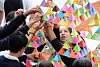 triangulo_troyo2015233.jpg